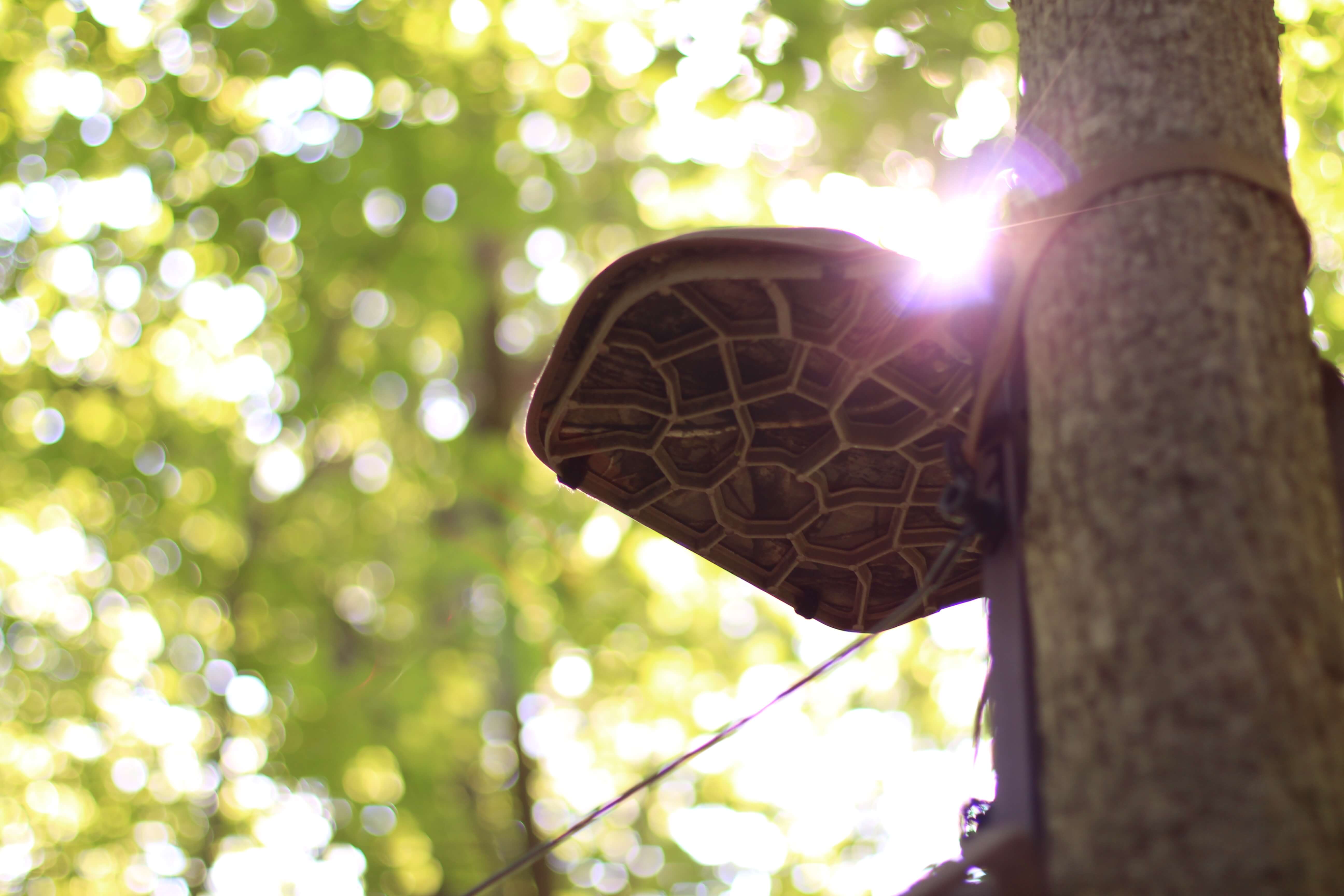 How To Hunt Deer Choosing the Right Tree Stand